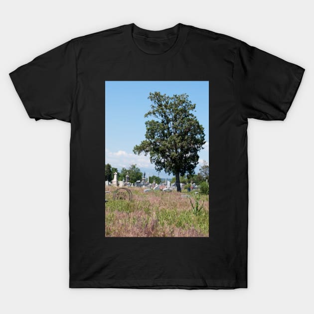 A Resting Place T-Shirt by gdb2